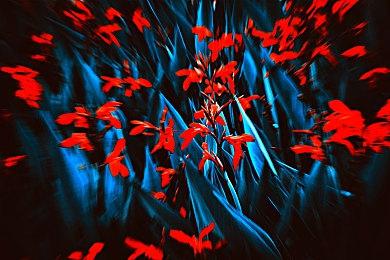 《暗黑破坏神2：重制版》首登主机所遇挑战 与PC操作不同