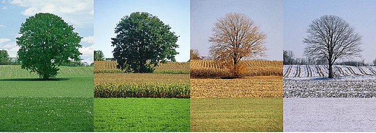 《漫威蜘蛛侠2》新海报 展示共生体战衣和蜥蜴